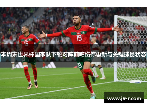 本周末世界杯国家队下轮对阵前瞻伤停更新与关键球员状态
